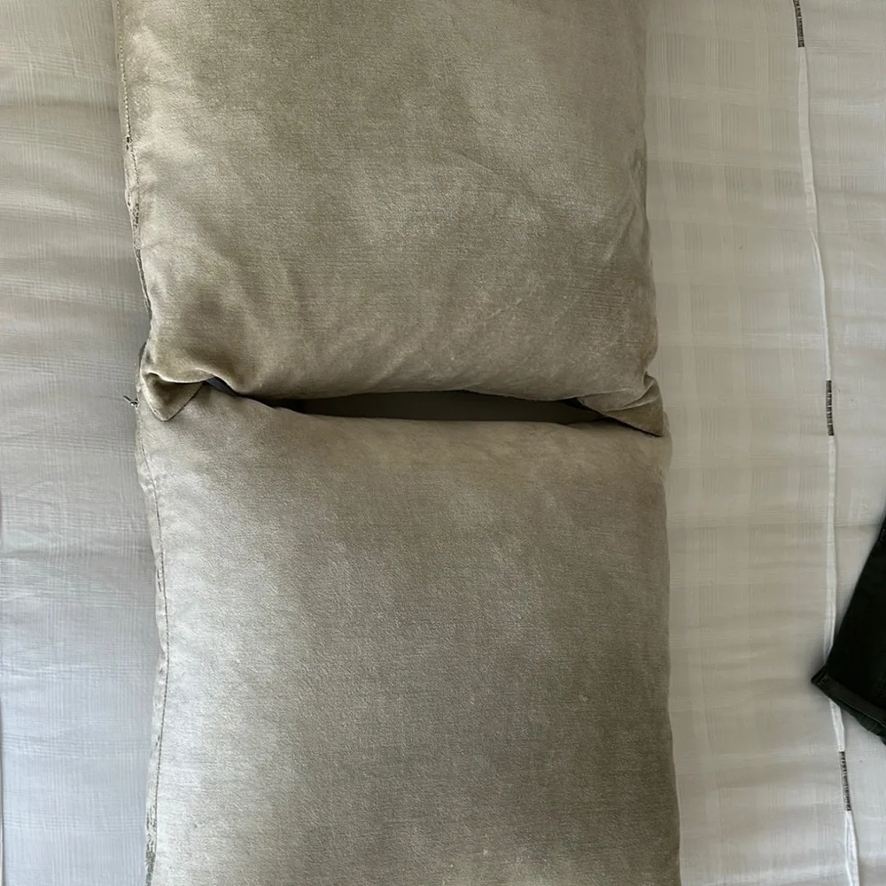 West Elm Silver Accent Pillows